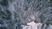 Fly into the forest in frozen winter nature Aerial view Adventure background
