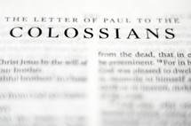 Title of the book of Colissians up close