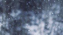 Snow is snowing in winter nature background slow motion
