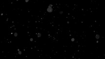 Real snow falling isolated on black background, it is snowing in cold winter concept, Screen, Overlay, Blend mode
