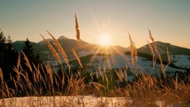 Winter sunrise behind mountains and tall grass.

