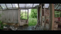 Nature's Reclaim: Abandoned Greenhouse Overrun by Nature