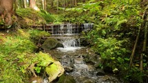 Mountain stream cascade in green forest nature background
