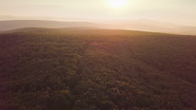 Reveal shot from golden light in forest to sunny landscape in summer evening sunset nature Aerial view
