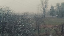 falling snow in a rural area 