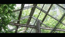 Nature's Reclaim: Abandoned Greenhouse Overrun by Nature