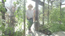 Senior caucasian woman gardening in her greenhouse themes of retirement seniors gardening hobbies
