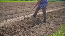 Farmer work manually with hoe, plant potatoes in farm field in spring organic natural farmland
