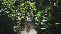 a woman walking through a jungle 