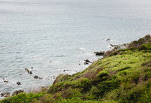 grassy cliff along a shore 