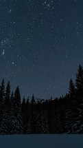 Vertical video of Blue Starry night sky with stars over winter forest in snowy alps mountains Timelapse
