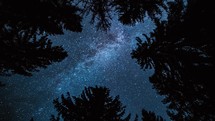 Magic top view of milky way galaxy stars rotates in dark forest nature in blue starry night sky astronomy Time lapse