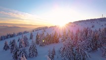 Aerial view of sunrise in winter forest mountains with lot of snow and snowy trees in cold morning nature landscape
