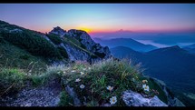 Colorful sunrise in rocky alps mountains peak with white flowers in summer morning nature landscape Time-lapse
