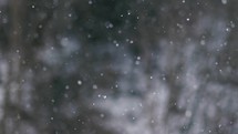 Snow is snowing in blurred winter background, peaceful nature slow motion
