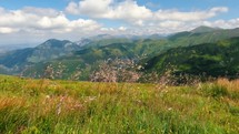 Beautiful day in Carpathian mountains nature with grass twinkle in green meadow in sunny summer. Tourism outdoor background
