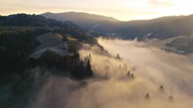 Aerial view of Misty forest nature 4K
