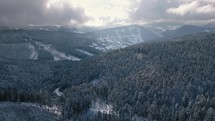 Aerial view of winter forest landscape in frozen countryside nature after snowing
