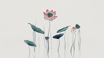 Chinese retro painting style lotus illustration.
