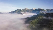 Fly over misty forest mountains Hyper lapse
