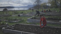 A group of people planting and gardening in the Pacific Northwest.