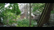 Nature's Reclaim: Abandoned Greenhouse Overrun by Nature