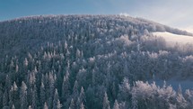 Aerial view of frozen winter forest in sunny mountains nature landscape Outdoor tourism background

