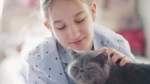 Girl strokes a grey cat.