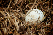 Baseball in the grass