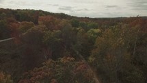 drone flying over a forest 