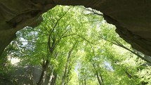 Panorama of fresh green forest from rocky cave in spring nature
