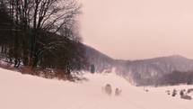 Slow motion of cute brown dogs running fast in powder snow in winter forest nature
