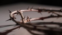 Crown of thorns casting shadow on white background