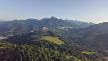 Aerial view of green countryside in alpine forest mountains

