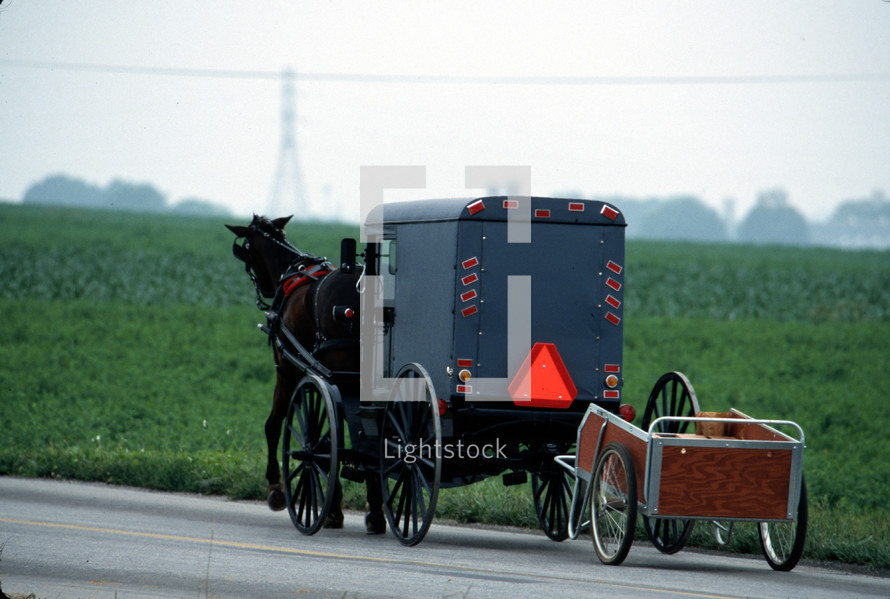 A horse drawn Amish cart pulling a Garden Way cart as a trailer. Lancaster County, Pennsylvania, USA