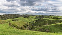 Green farm country with clouds moving over sky in sunny summer day in New Zealand nature landscape Time lapse