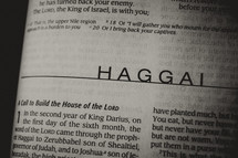 Open Bible in book of Haggai
