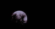 Telephoto footage of Full moon rising from behind trees