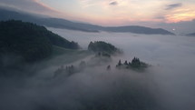 Aerial view of misty forest in morning sunrise
