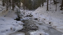 Mountain stream in winter forest