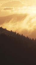 Foggy clouds moving fast over windy forest nature at golden sunrise Vertical video

