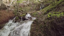 Moving backward over clear water of mountain stream flow in sunny spring forest

