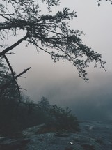 edge of a cliff and fog 