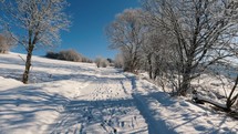 Beautiful morning walk in sunny winter countryside with snowy road in frozen nature background
