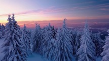 Frozen forest with snowy trees in cold winter evening nature landscape at sunset

