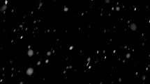 Real snow falling over black background.
