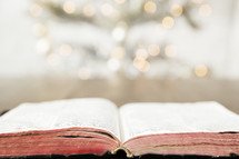 worn open Bible on a coffee table in front of a Christmas tree