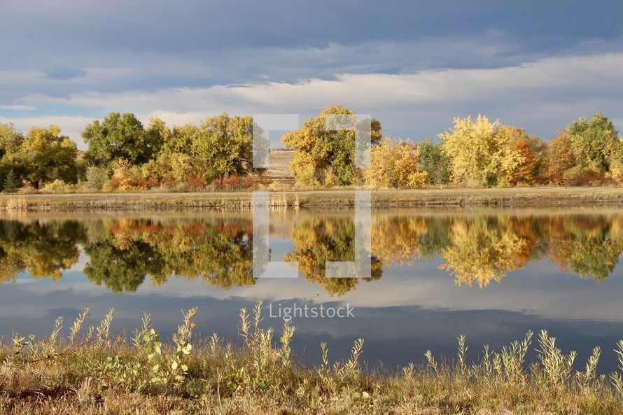 reflection of fall trees on pond water 