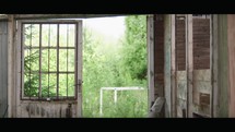 Nature's Reclaim: Abandoned Greenhouse Overrun by Nature