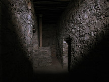 dark cellar 